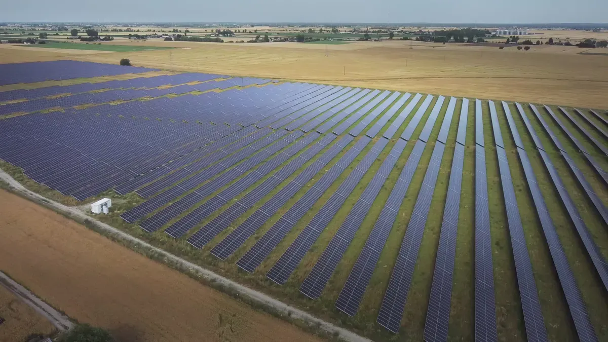 PNG Solar vs. JinkoSolar vs. LONGi: Vergleich der Solarmodulanbieter